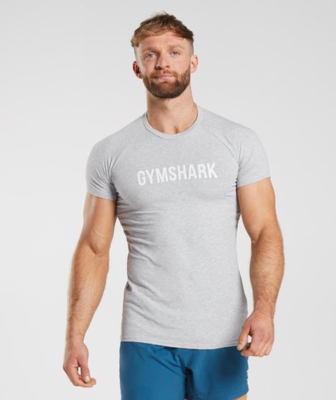 Men's Gymshark Apollo T-Shirts Light Grey | NZ 8TIWLH